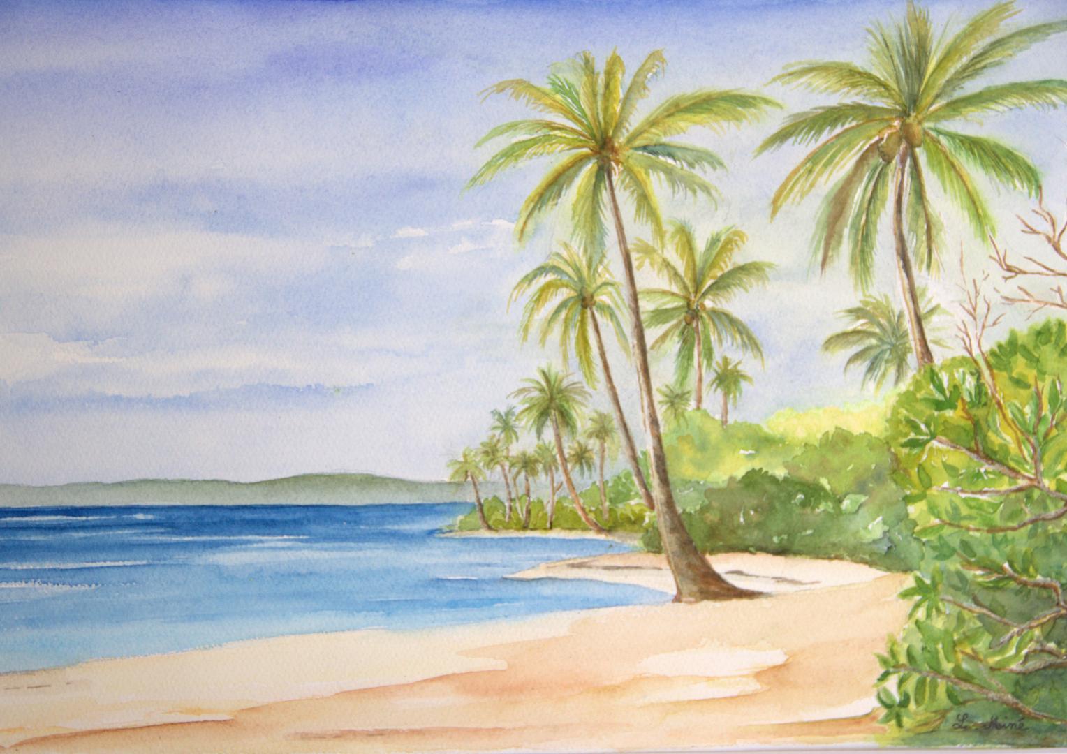 Plage de Bois Jolan Guadeloupe 