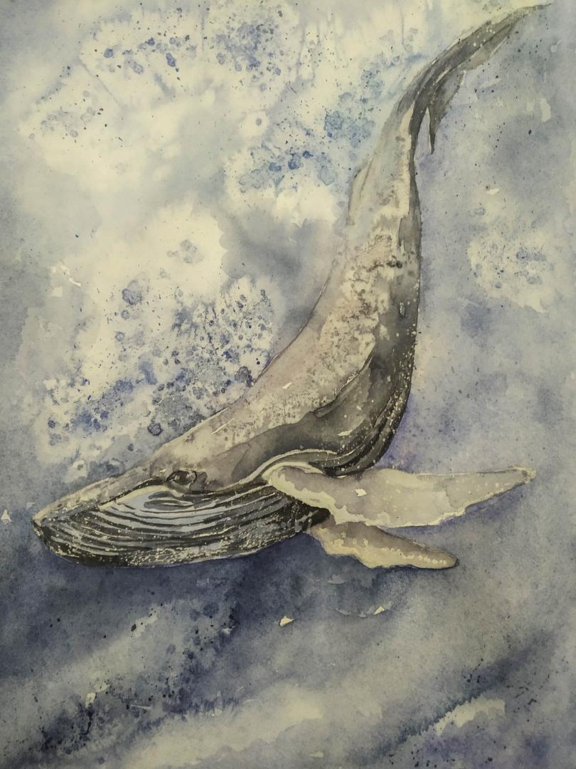 BALEINE A BOSSE  vendue 