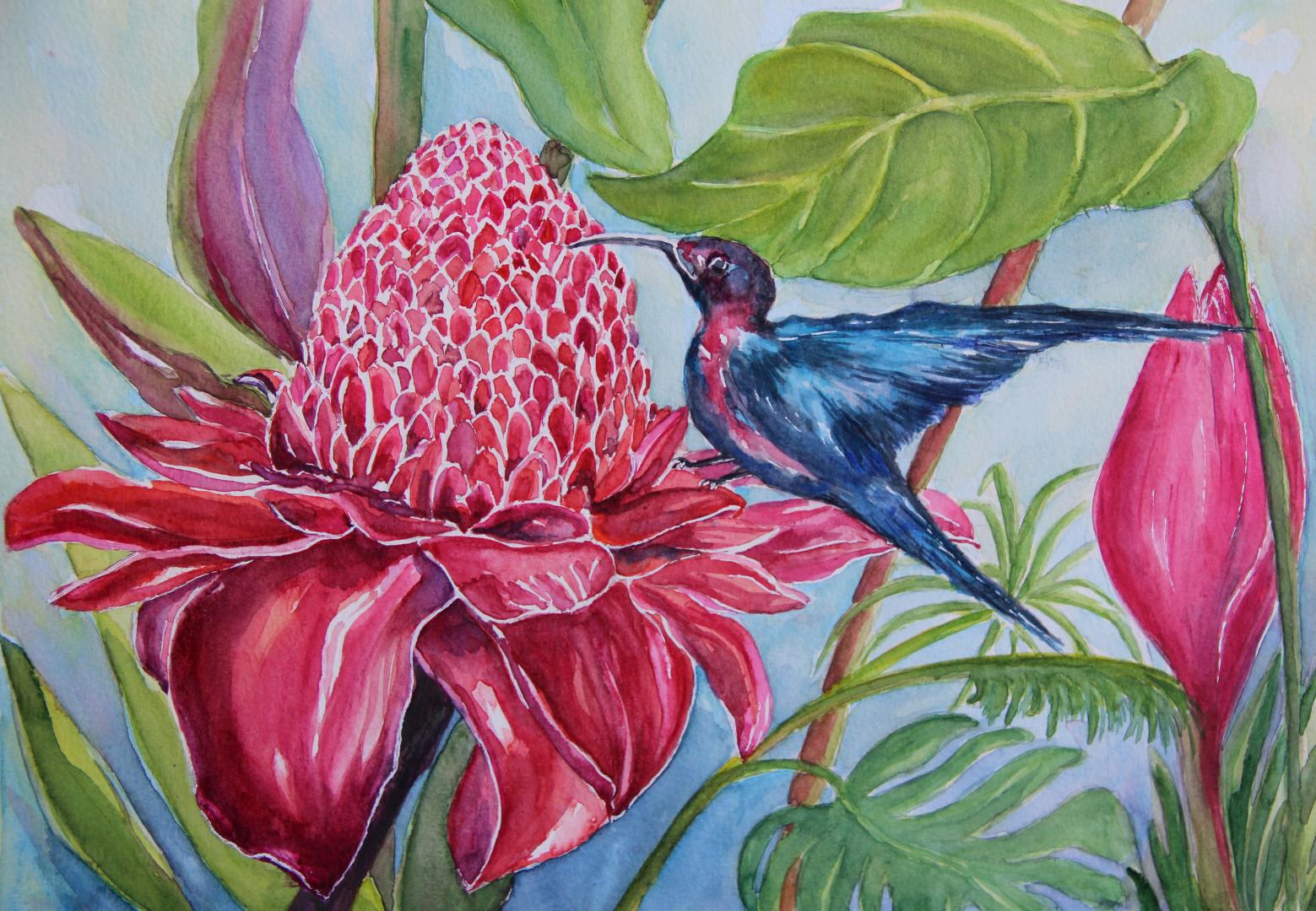 Rose de Porcelaine et Colibri 
