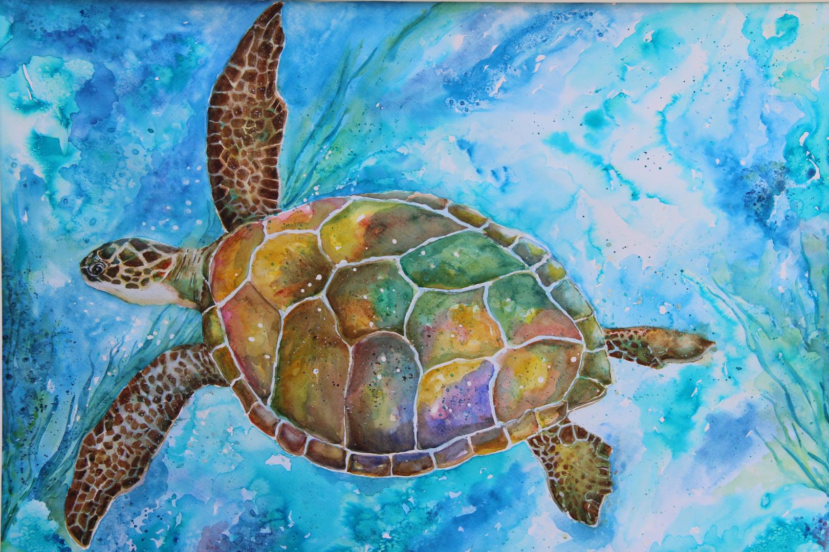 Tortue de mer.  Guadeloupe 