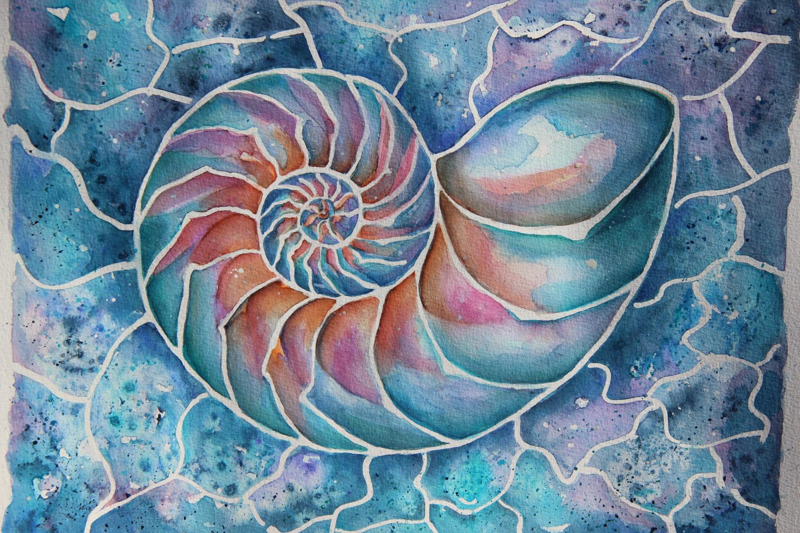 NAUTILUS 