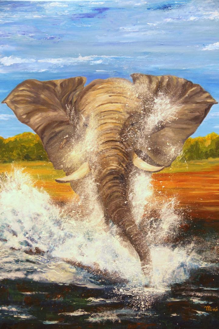 Eléphant d'Afrique