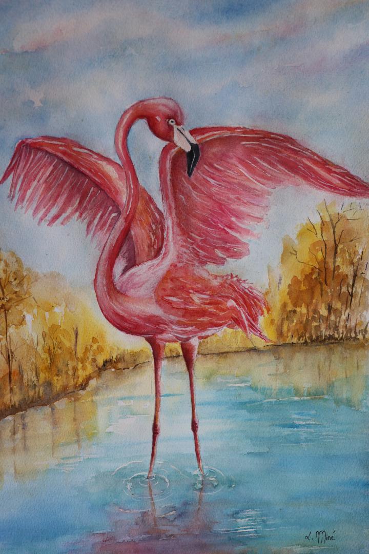 Flamant rose  1