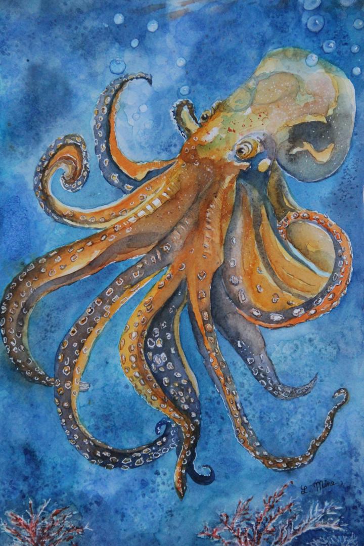 Octopuss mon ami le poulpe 