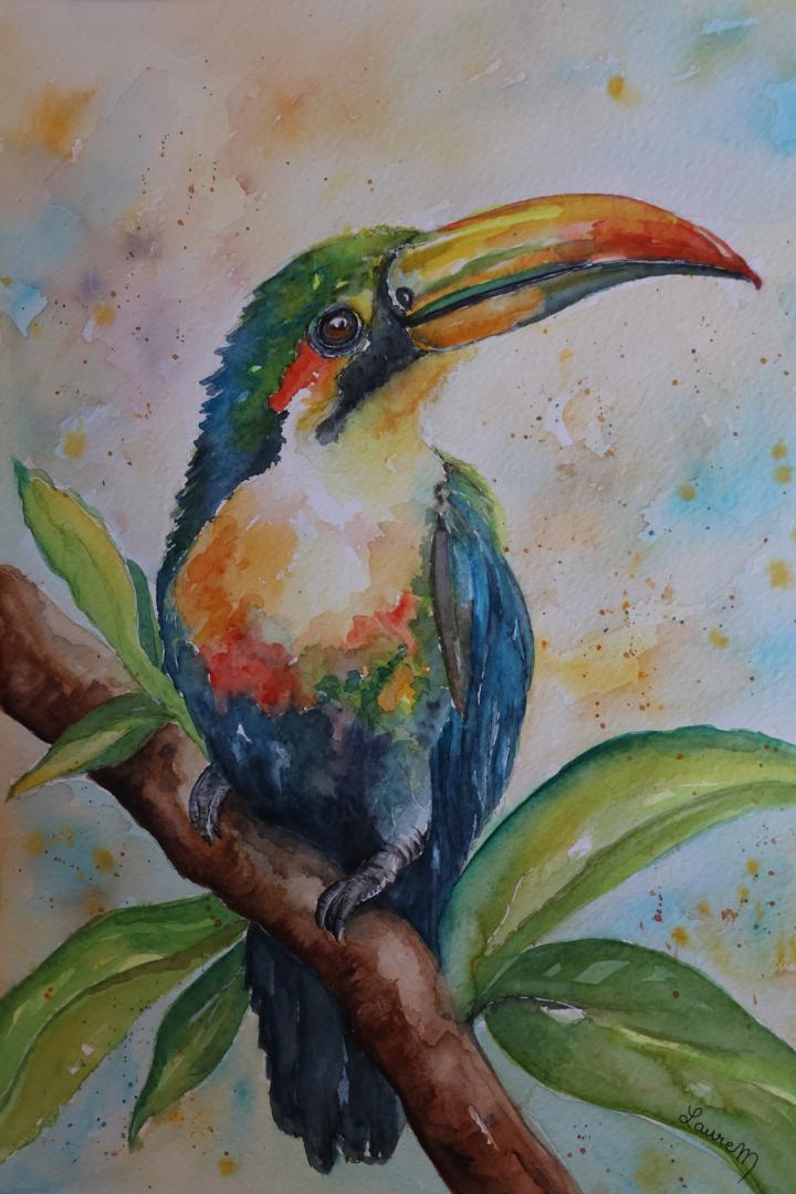 LE TOUCAN 